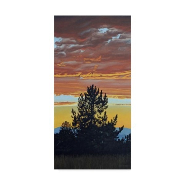 Trademark Fine Art Ron Parker 'Evening Pine' Canvas Art, 10x19 ALI32742-C1019GG